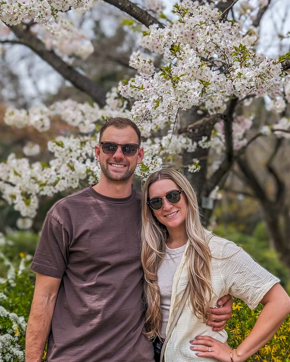 Daniel and Bailey pose for a photo with cherry blossums in a park in Japan