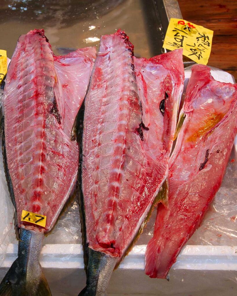 Fish at Tsukiji Market on a tour in Tokyo Japan-2