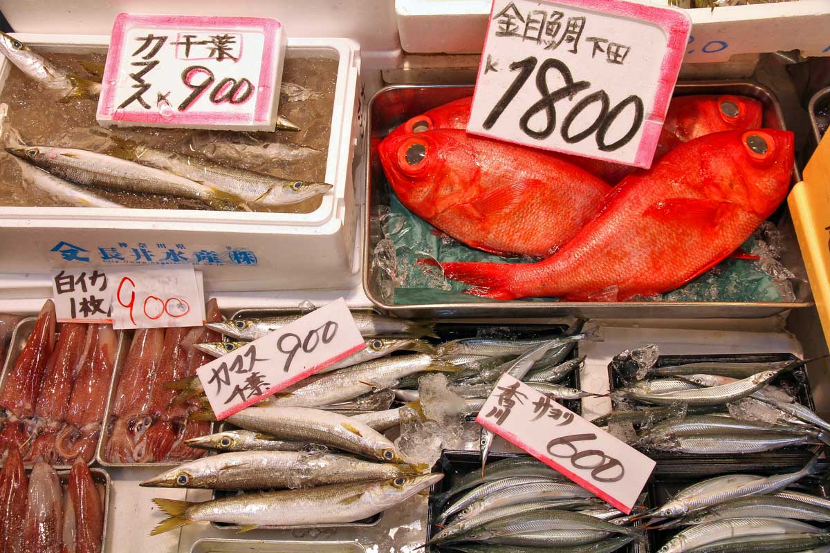Prices for fish at Tsukiji Market on a tour in Tokyo Japan