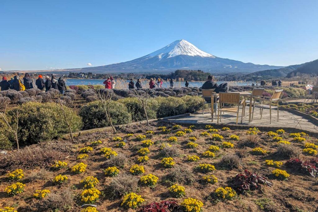 The view of Mt Fuji from Oishi Park on Lake Kawaguchiko Japan