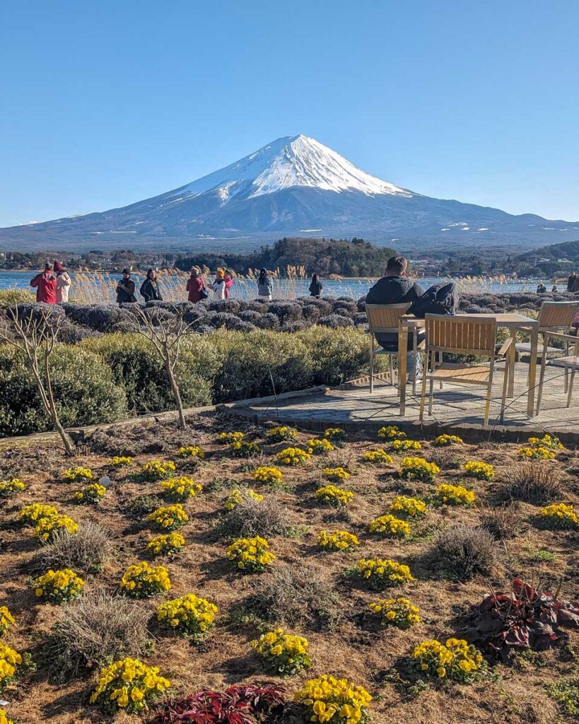 The view of Mt Fuji from Oishi Park on Lake Kawaguchiko Japan 2