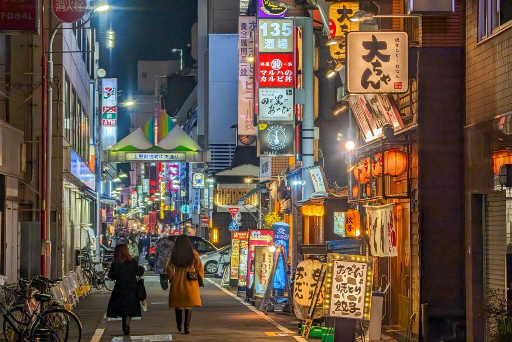 Two women walk down an alley during a night tour in tokyo Japan