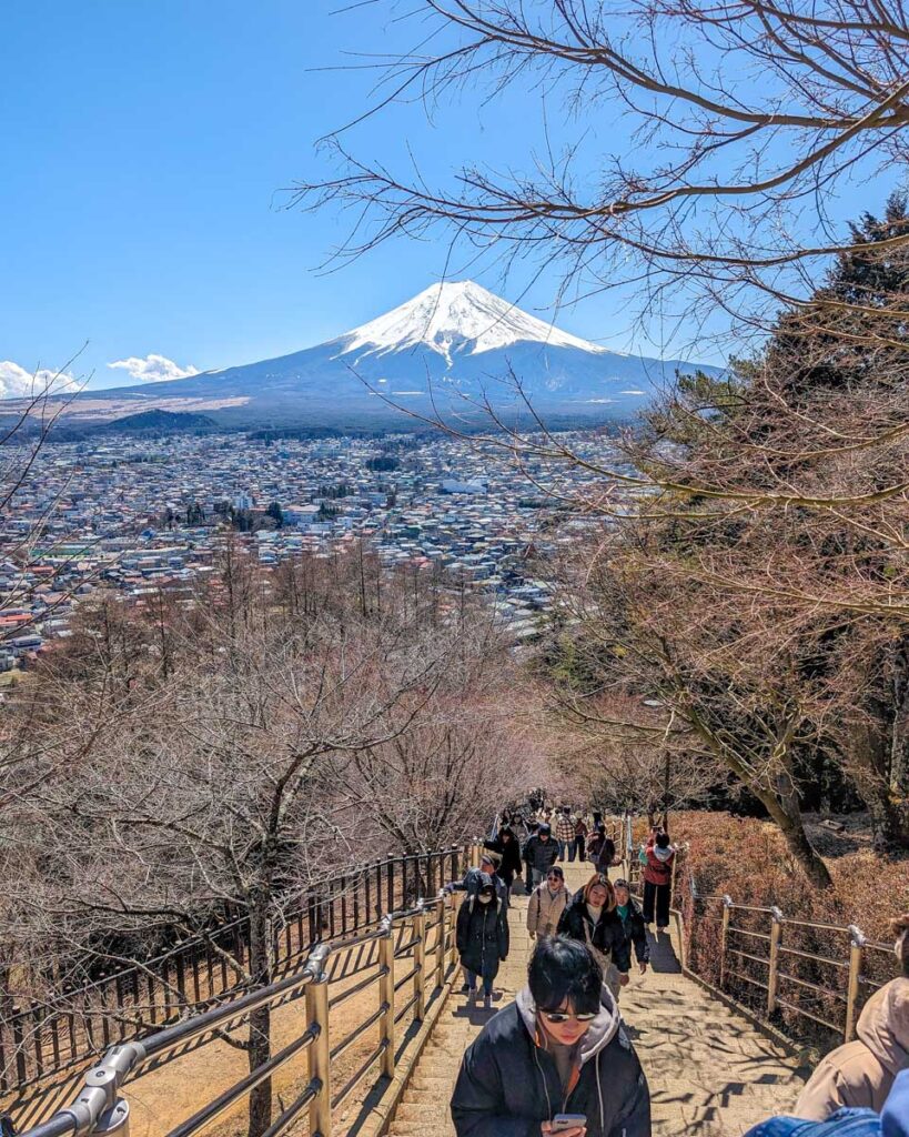 View of Mt Fuji on the walk up to the Chureito Pagoda