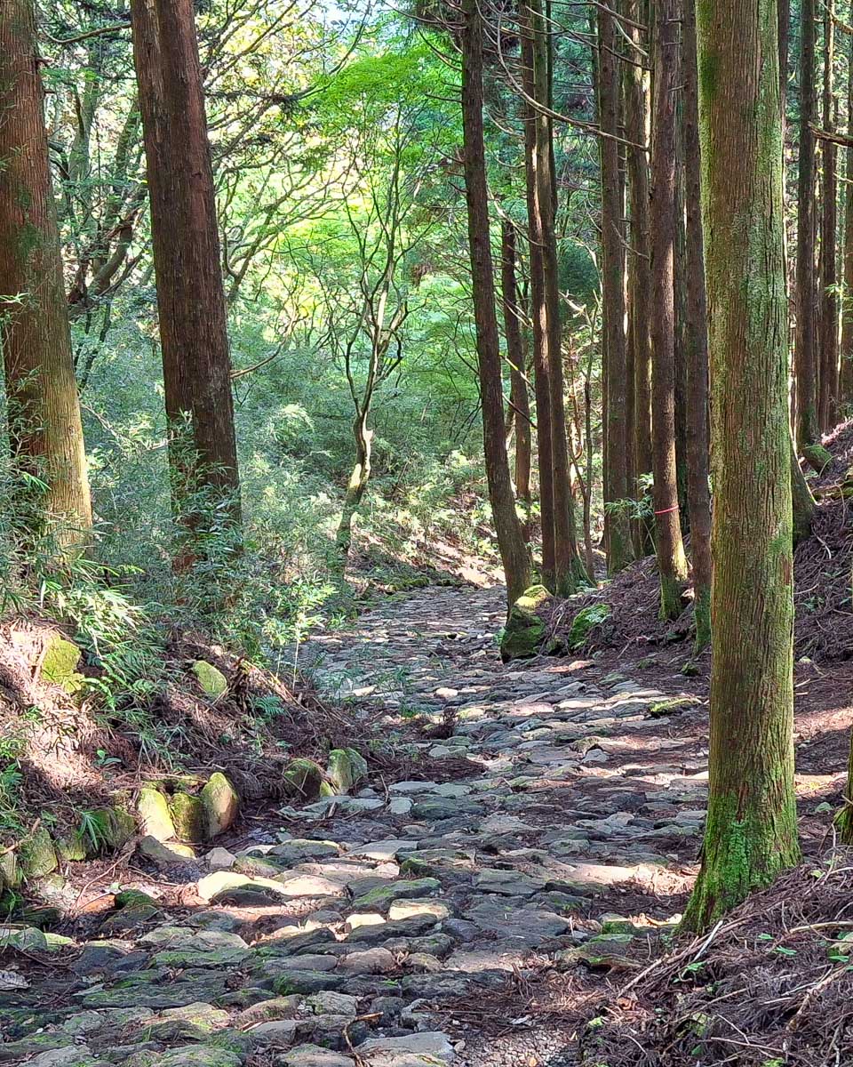 The Hakone Hachiri trail in Hakone Japan (1)