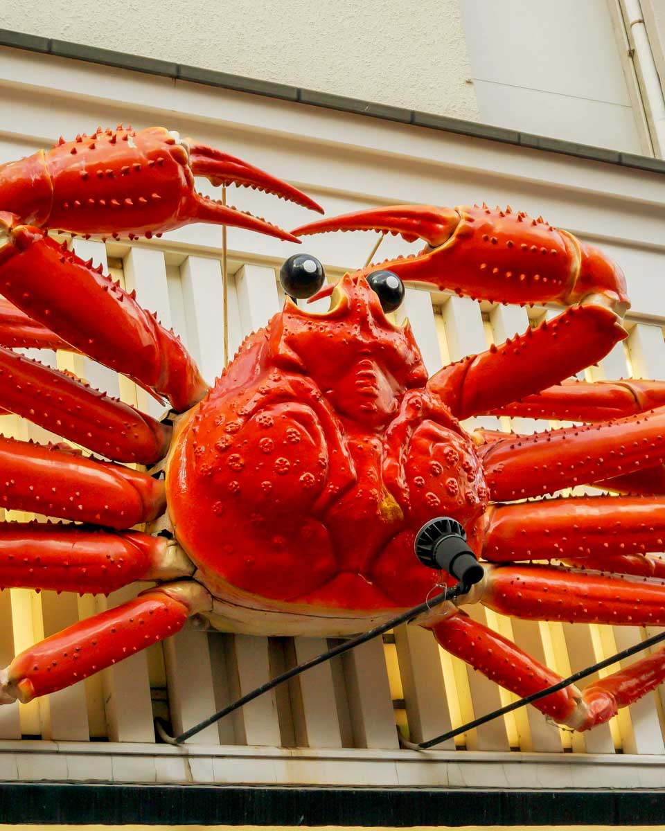 A giant crab seen in Osaka on a tour of Osaka Japan
