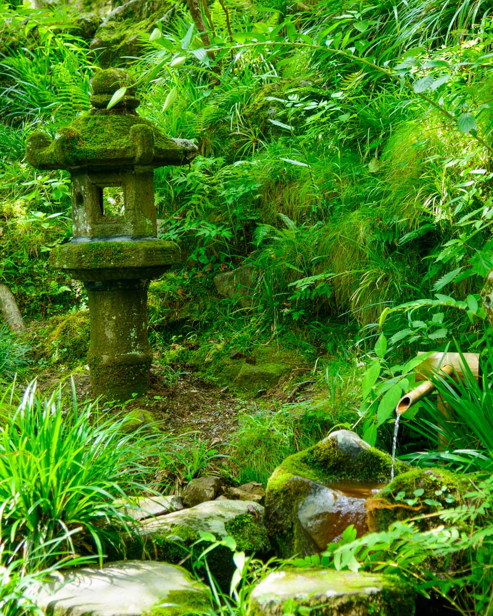 A hiking trail near Hakone Japan