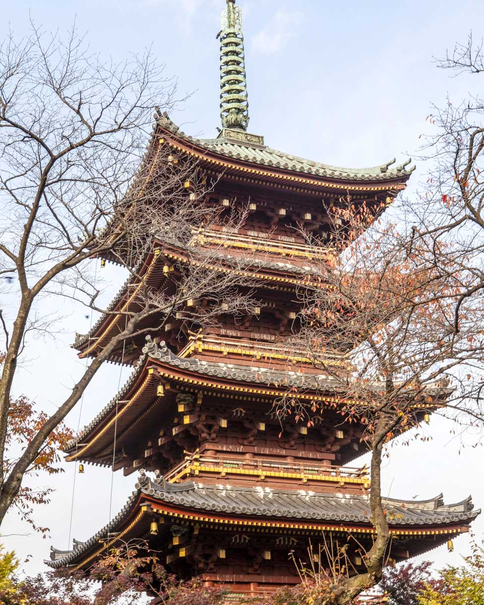 Pagoda of the Toshogu Shrine in Ueno Park in Tokyo - Japan