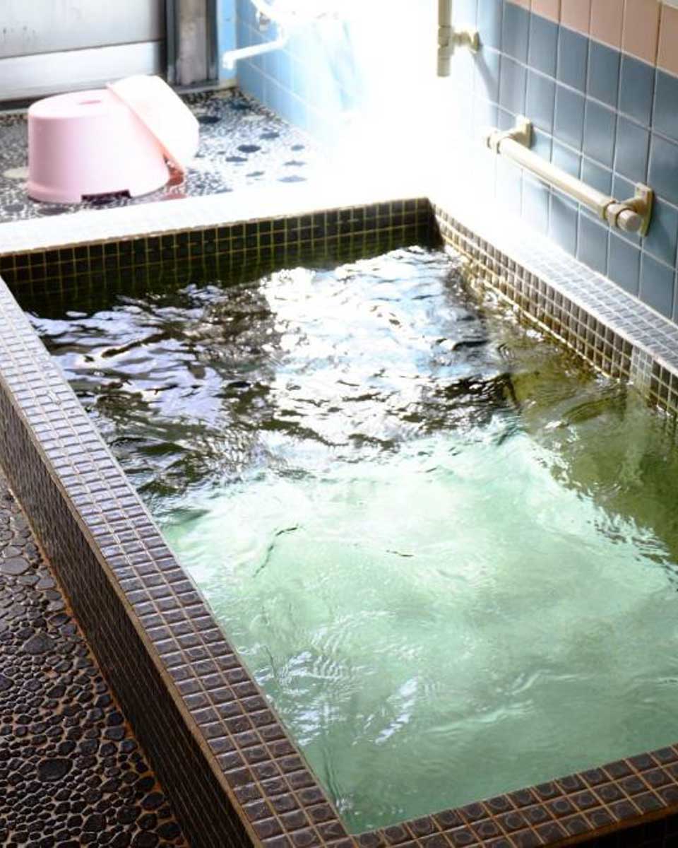 Ryokan Fujitomita near Mt Fuji Japan 1