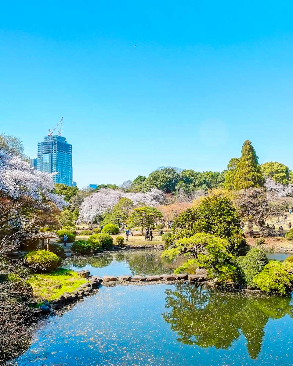 The Shinjuku Gyoen National Garden seen in Shinjuku Tokyo Japan