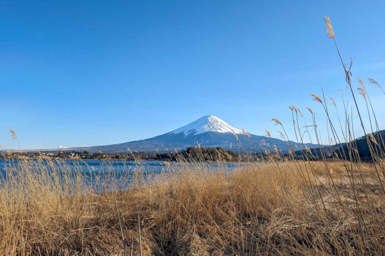 View-of-Mt-Fuji-from-Oishi-Park-on-Lake-Kawaguchiko-Japan