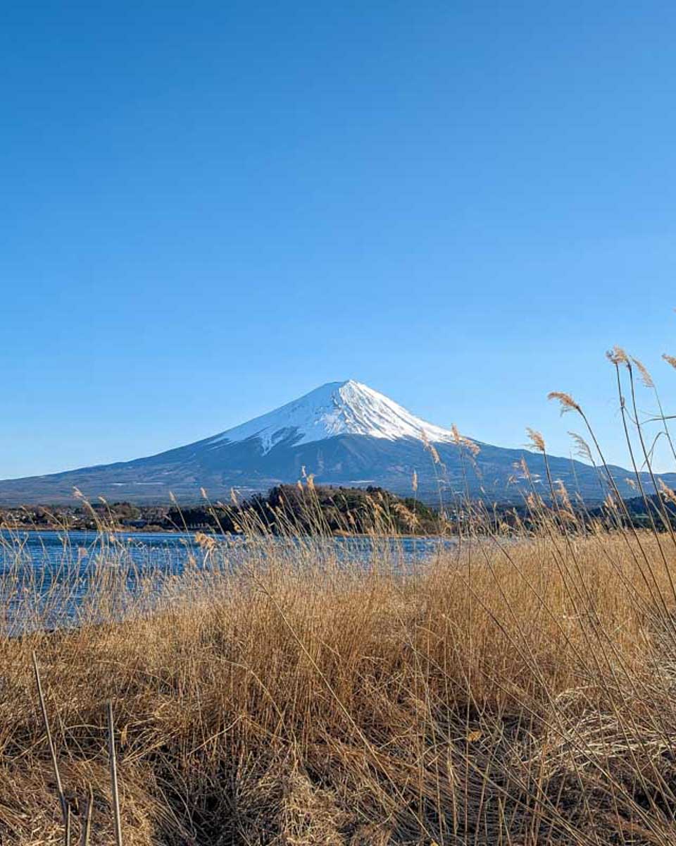 View-of-Mt-Fuji-from-Oishi-Park-on-Lake-Kawaguchiko-Japan