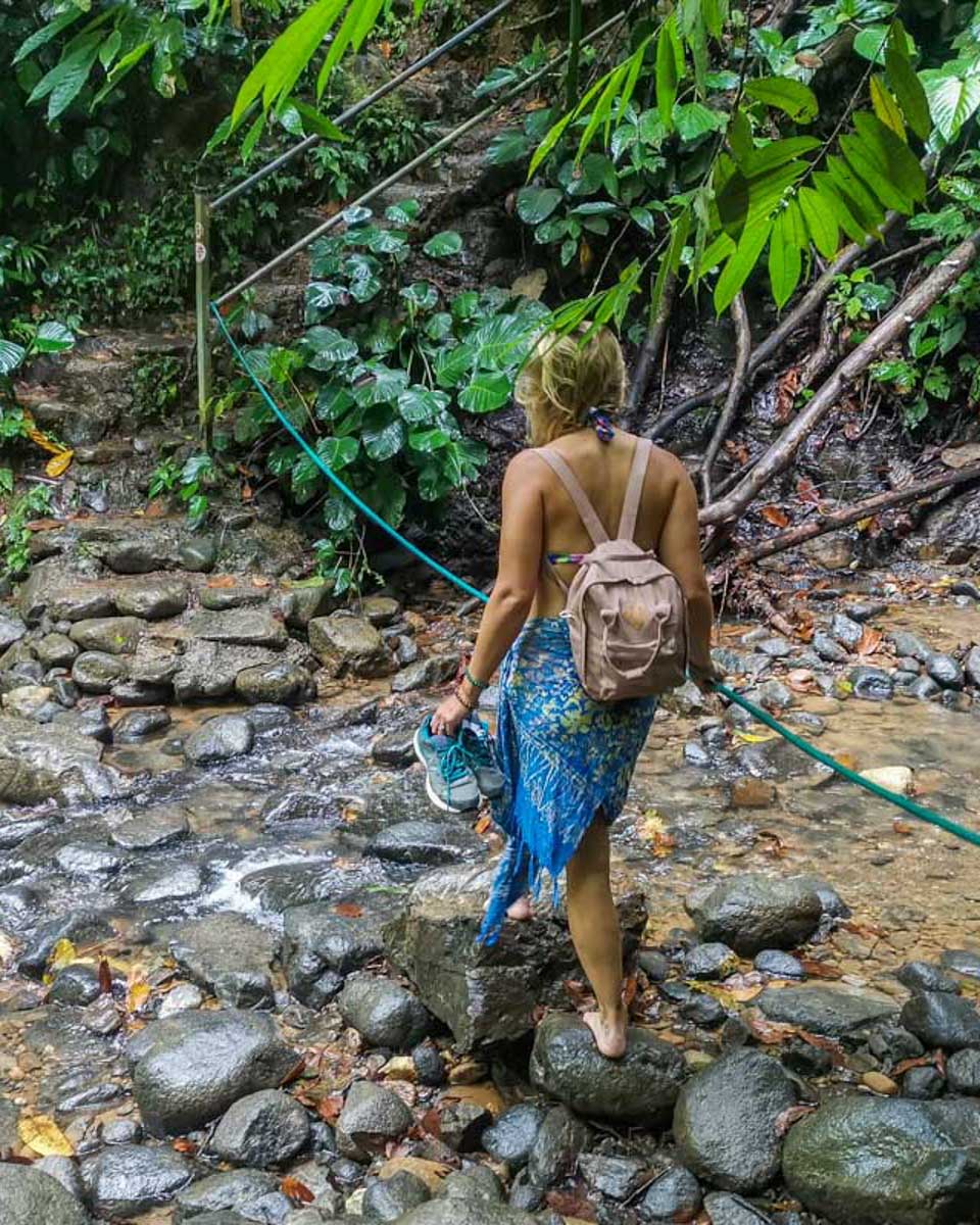 Bailey-walks-on-a-on-the-way-to-a-waterfall-in-Okinawa Japan