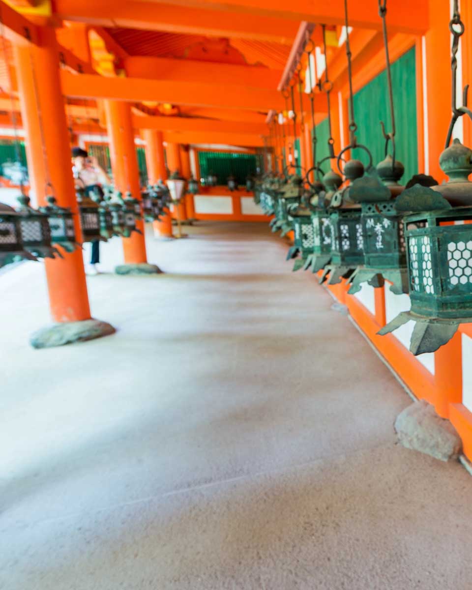 Bronze lanterns hanging at the Kasuga Taisha Shrine in Nara Japan