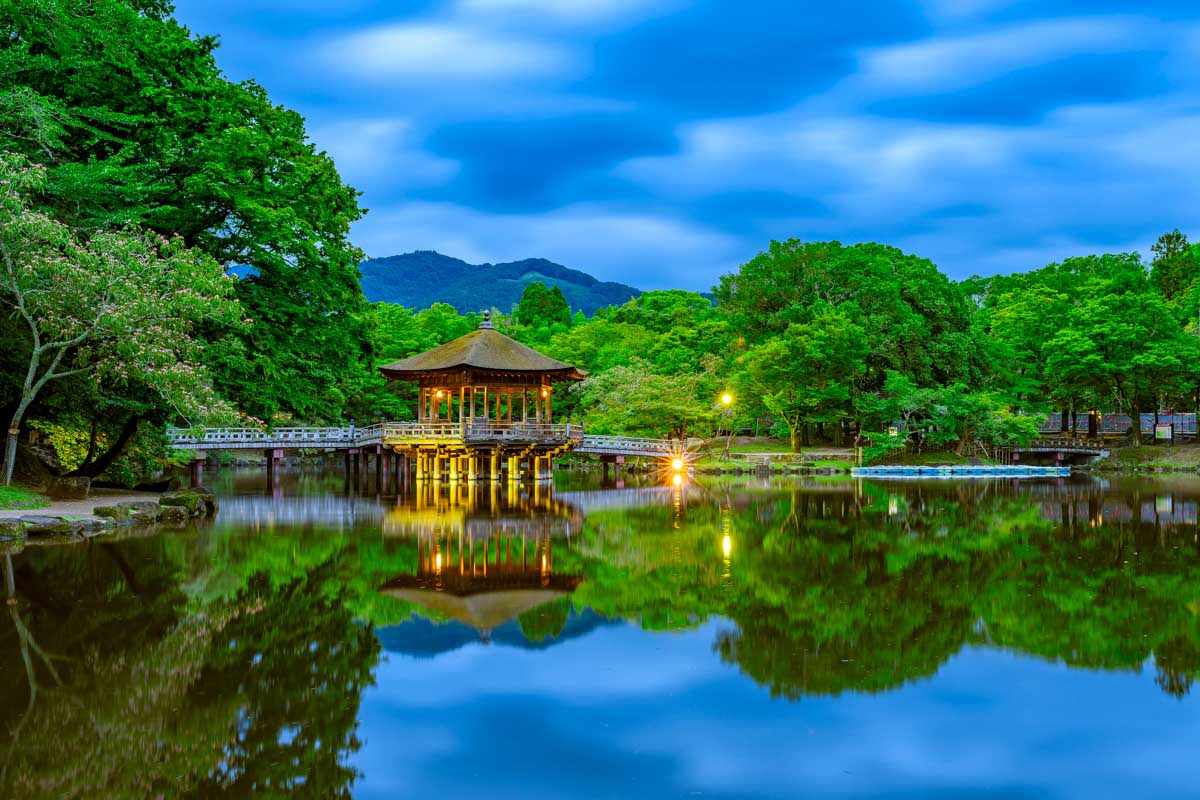 Nara Park seen in the evening Nara Japan
