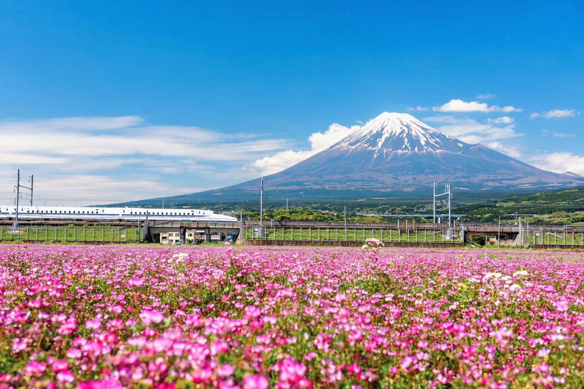 Shinkansen JR Bullet train pass through Mt. Fuji_