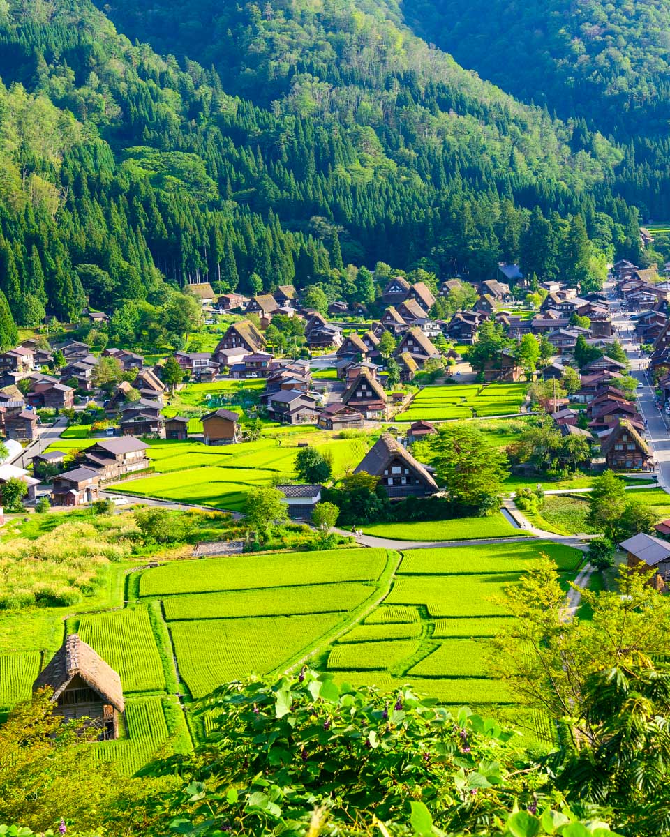 View of Shirakawa-go on a tour from Kanazawa Japan