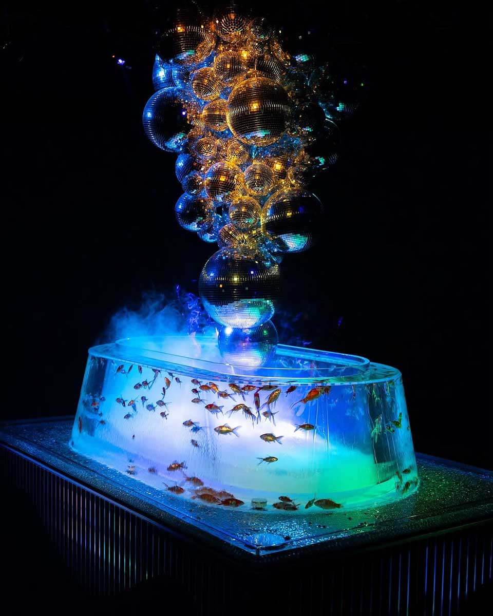 Art Aquarium Museum Ginza in Tokyo Japan