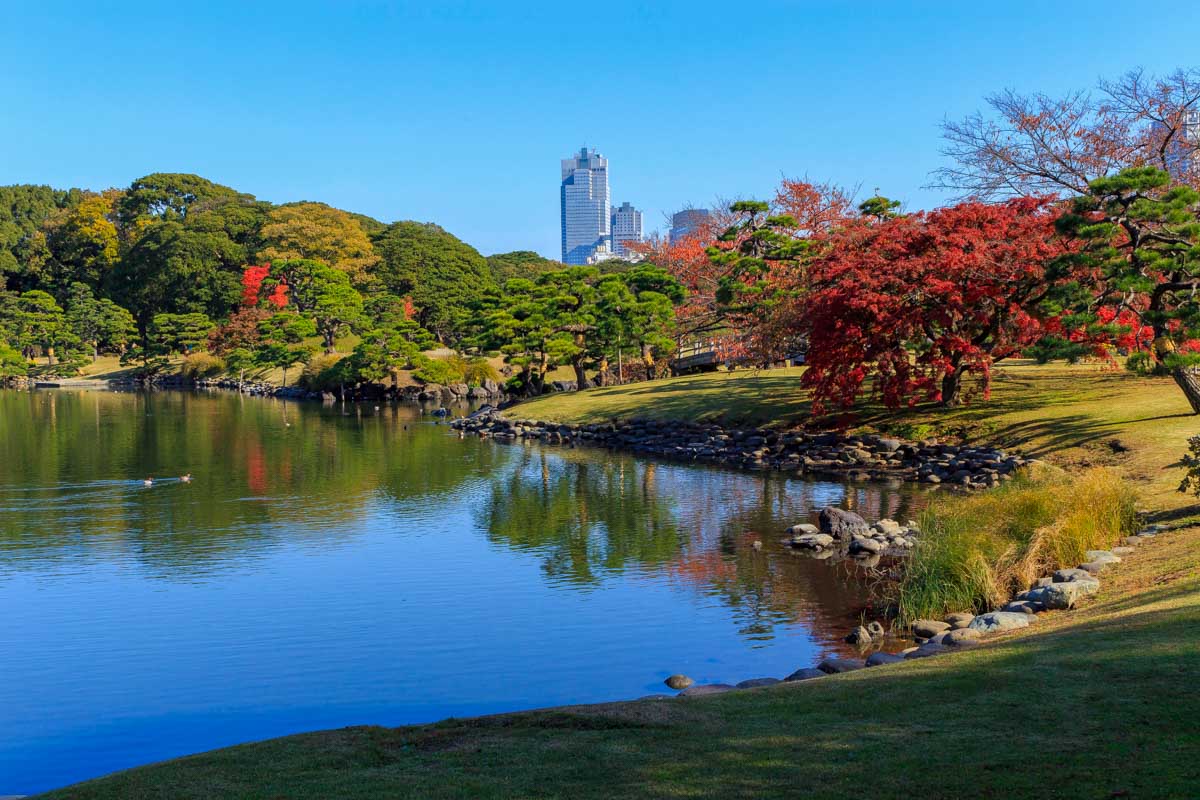 Autumn leaves in Hamarikyu Gardens in Ginza Tokyo Japan