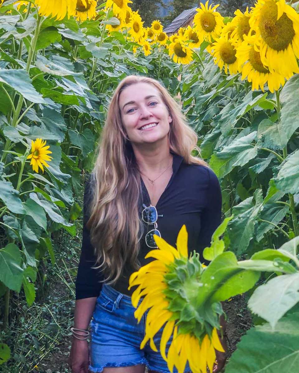 Bailey-walks-through-sunflowers on Nokonoshima Island Park on a tour from Fukuoka Japan