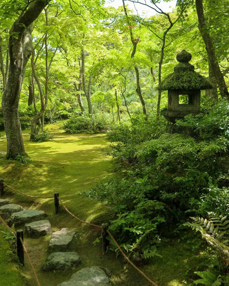 Fresh green in Okochi-sanso Garden, Kyoto, Japan