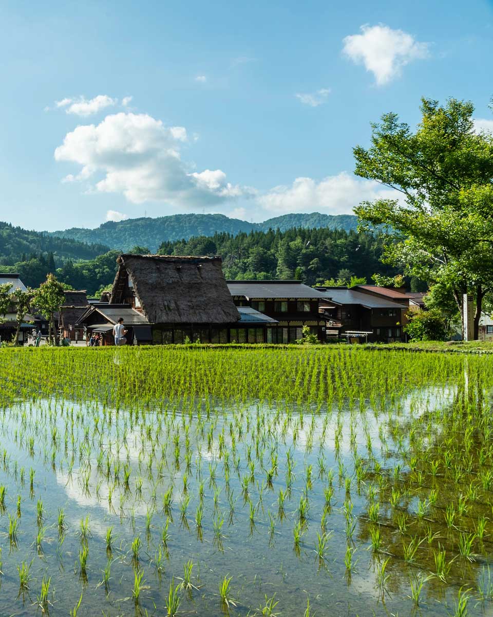 Gasso houses in Shirakawa-go, Japan