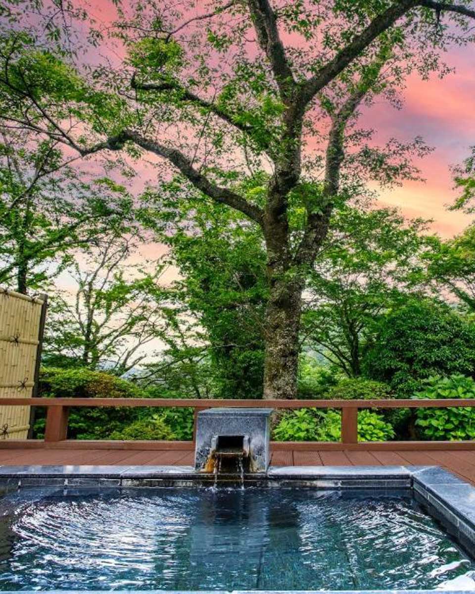 Hakone Kowakien Mikawaya Ryokan in Hakone Japan