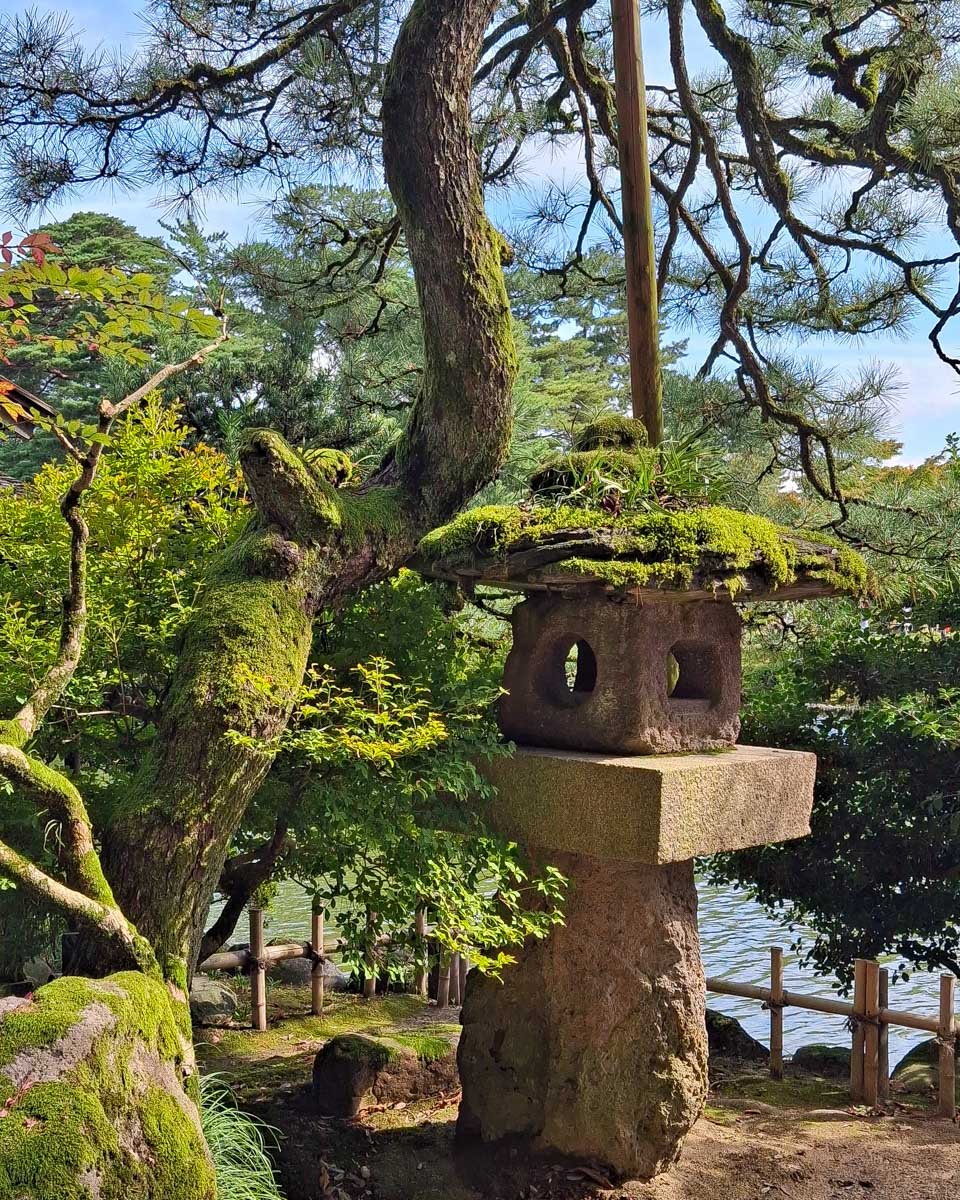 Kenrokuen-Garden-seen-on-a-tour-of-Kanazawa-Japan
