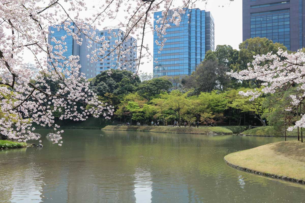 Koishikawa Korakuen Garden at spring in Tokyo Japan