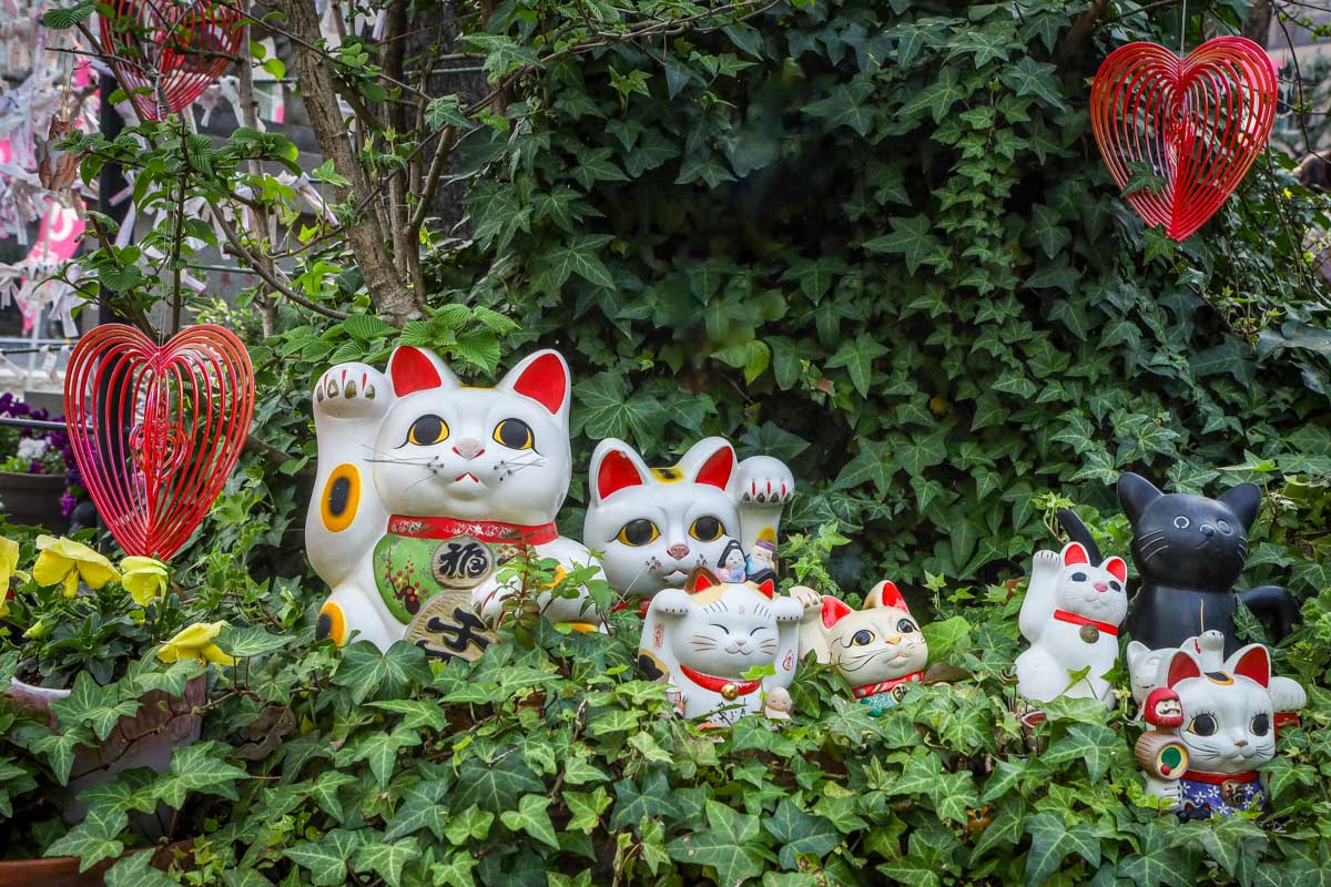 Maneki neko cat statues in front of shinto Imado shrine in Tokyo Japan