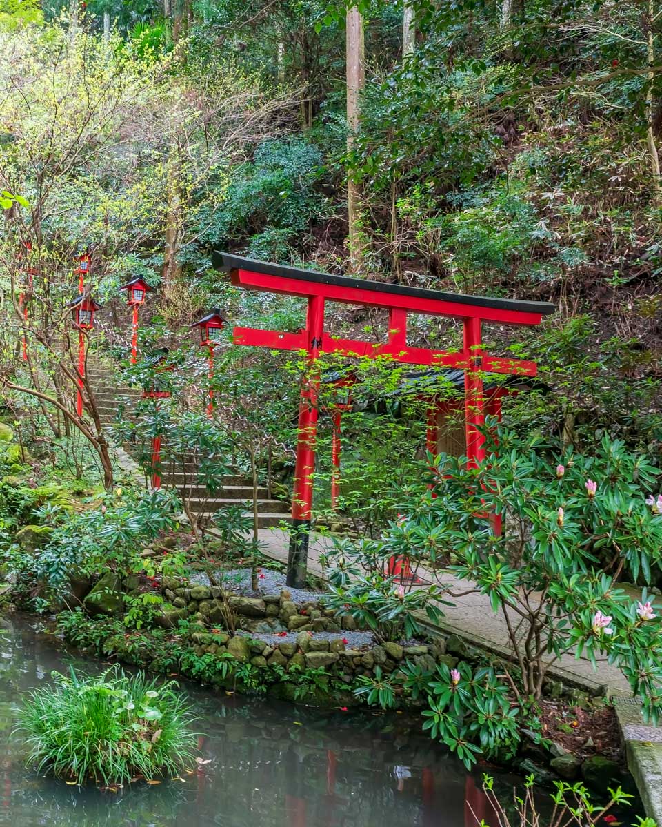 Nanzo-in Temple path seen on a tour of Fukuoka Japan-2