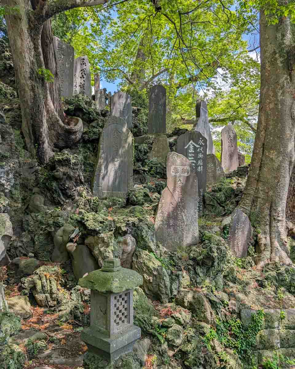 Naritasan Shinshoji Temple in Narita Japan (3)