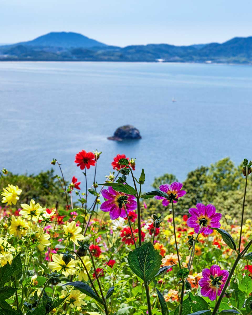 Nokonoshima Island Park seen on a tour from Fukuoka Japan (1)