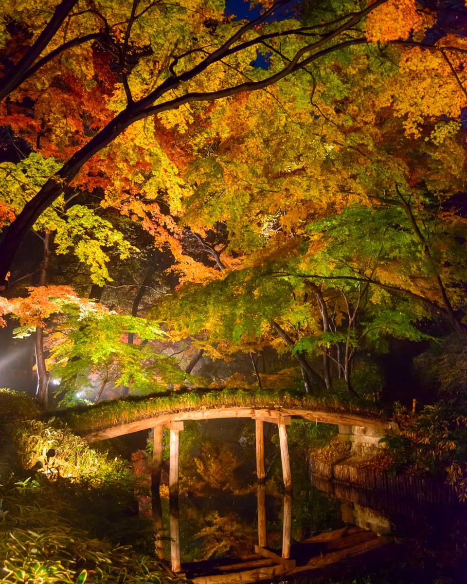 Rikugien Garden in Autumn Tokyo Japan