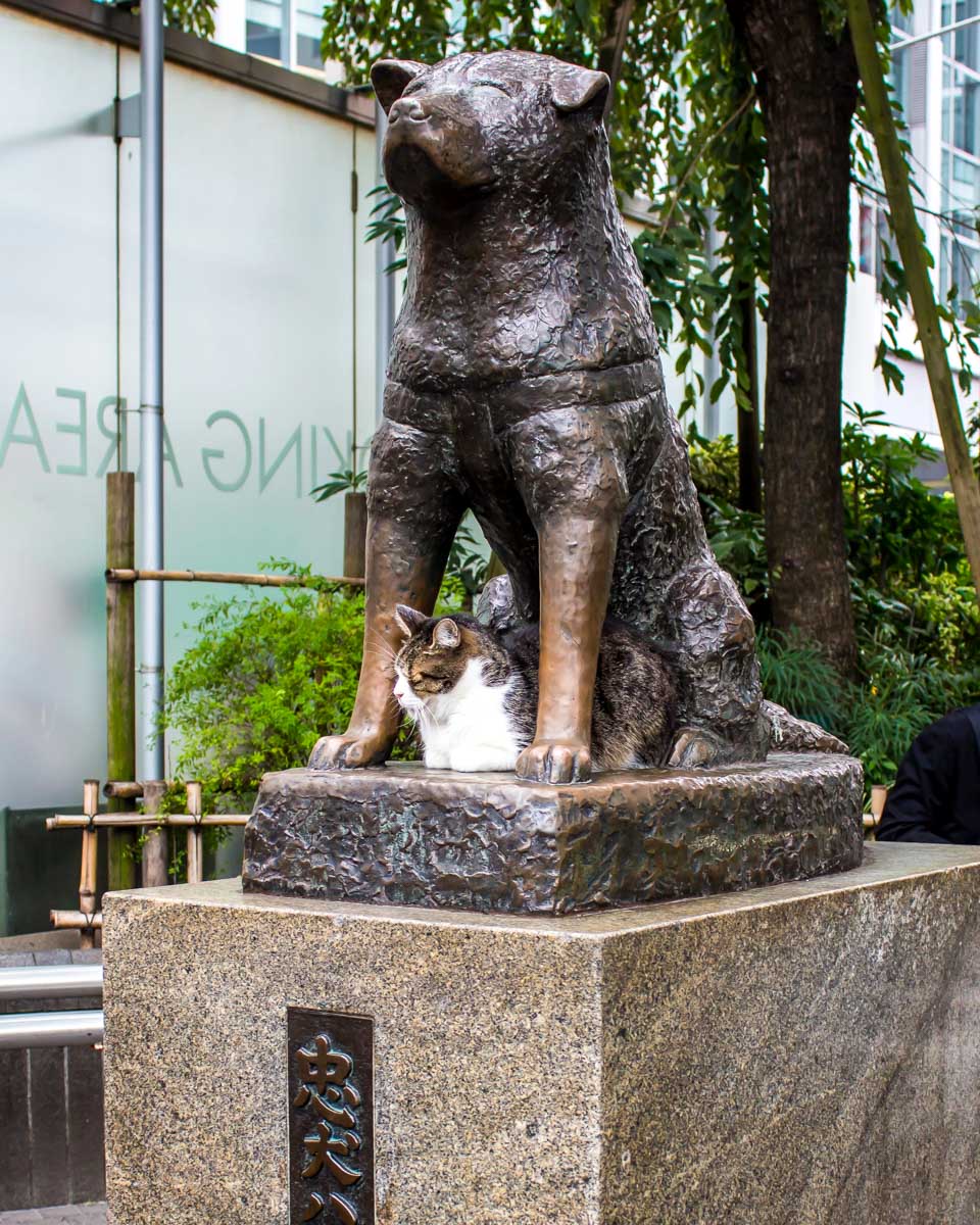 The Hachiko statue in downtown Tokyo Japan
