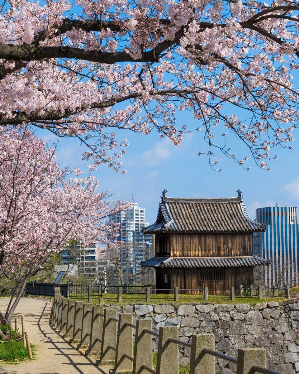 The ruins of Fukuoka Castle seen on a tour of Fukuoka Japan (1)