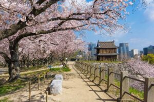 The ruins of Fukuoka Castle seen on a tour of Fukuoka Japan (2)