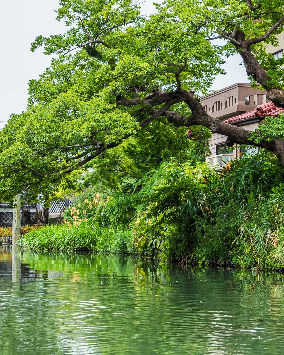 The view of the Yanagawa River during a boat ride on a tour of Fukuoka Japan