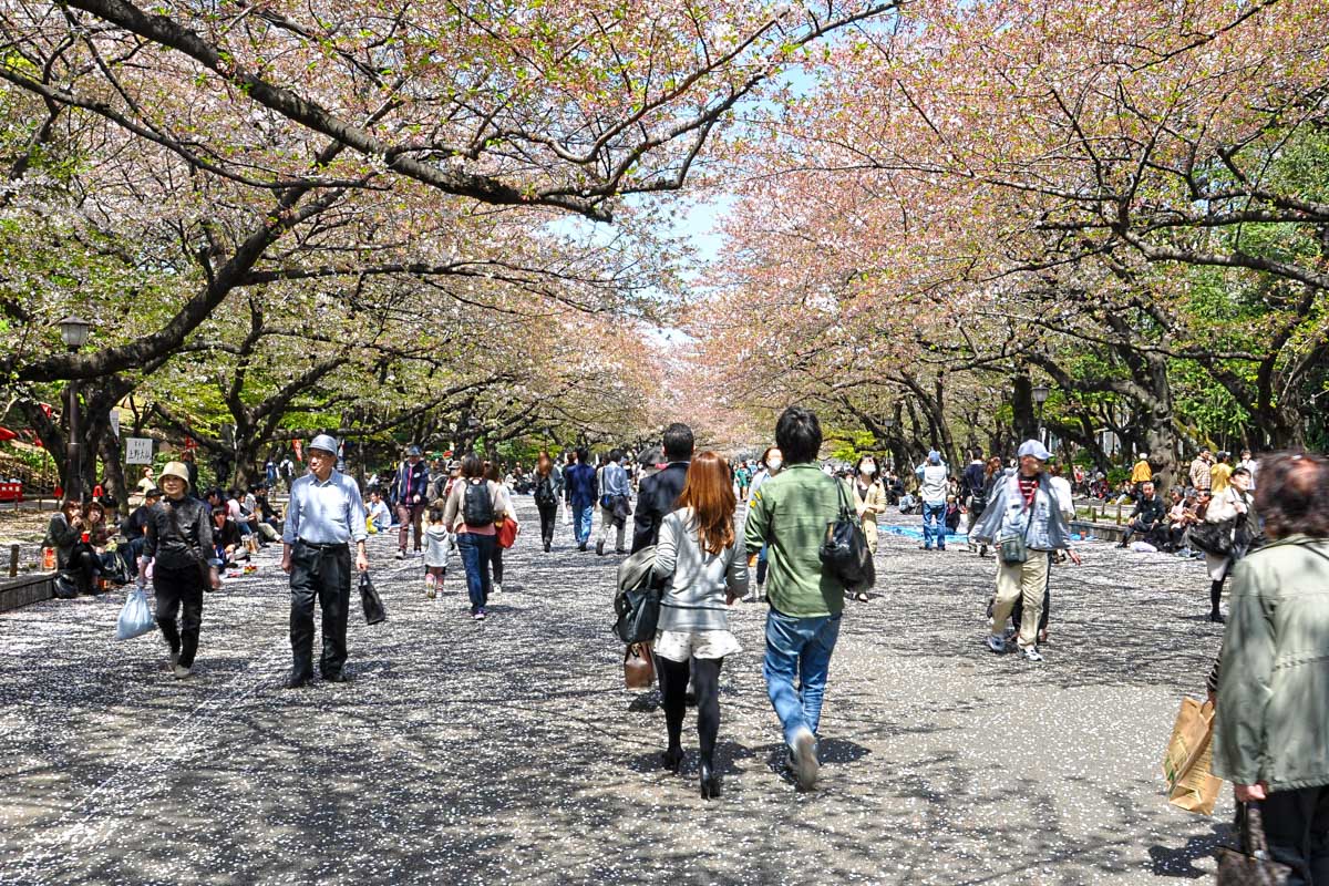 Tokyo Japan Ueno Park in spring
