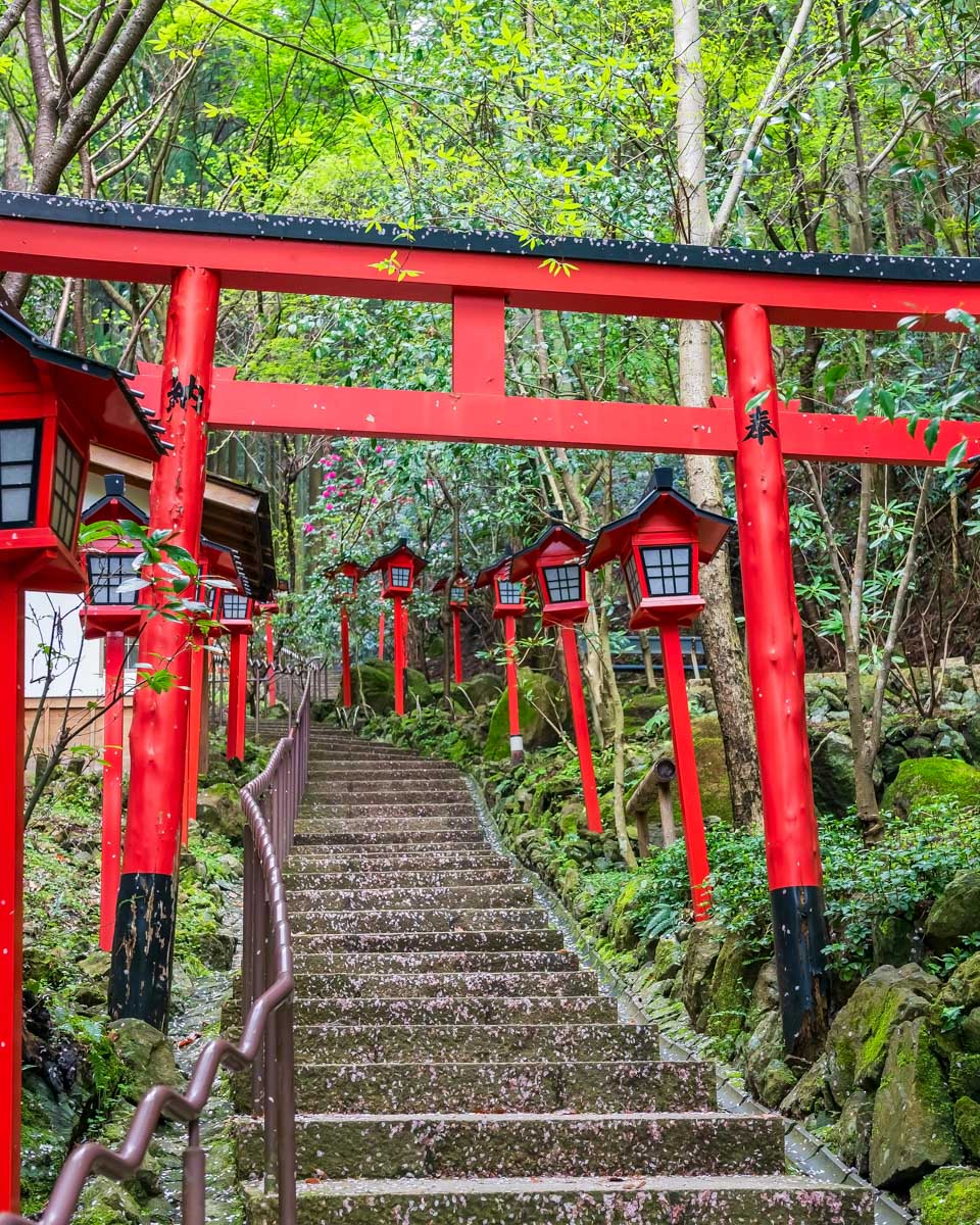 Torii Gate at Nanzo-in Temple on a tour of Fukuoka Japan