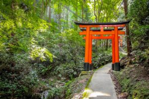 Torii gates in Fushimi Inari Shrine - Kyoto, Japan