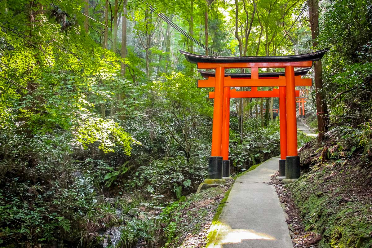 Torii gates in Fushimi Inari Shrine - Kyoto, Japan