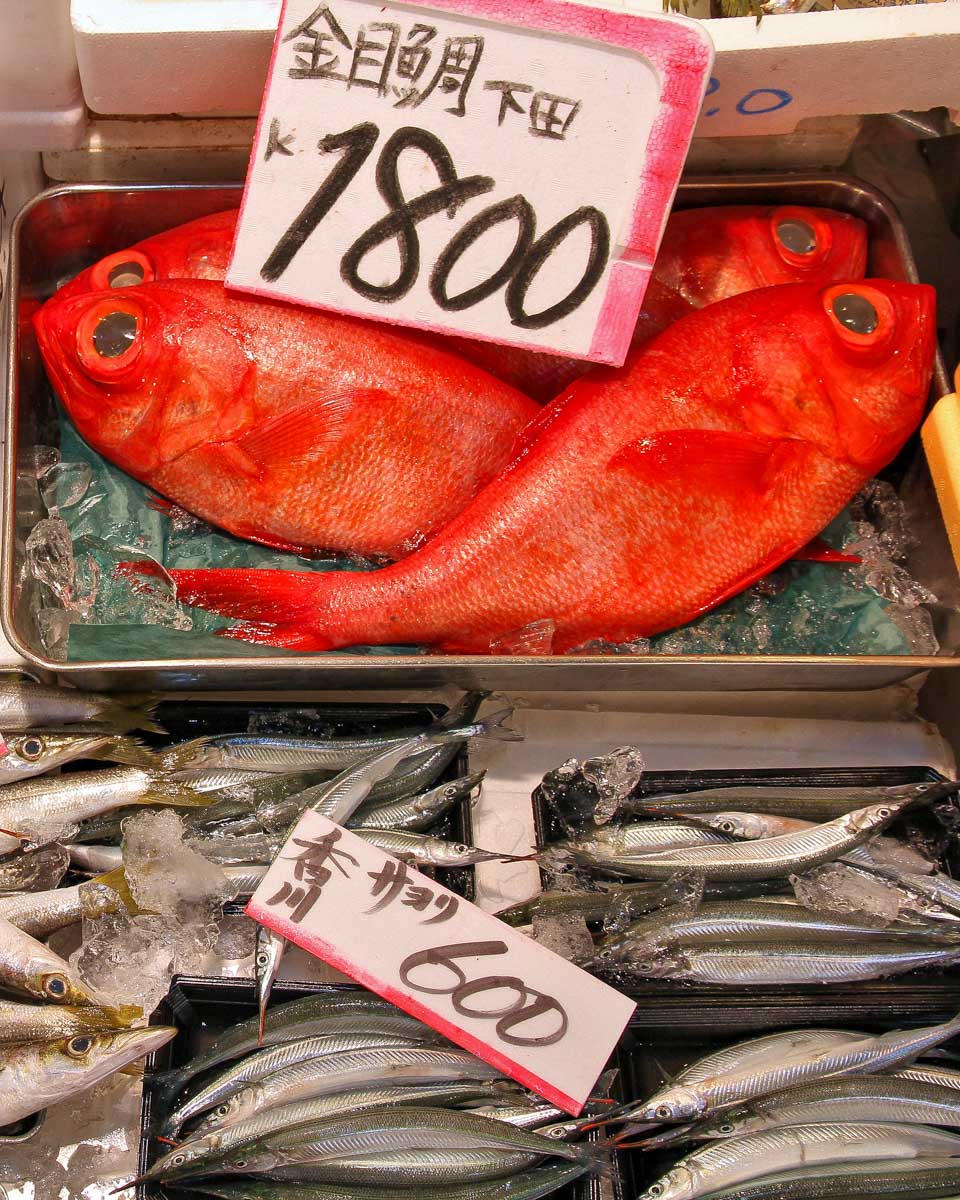 Tsukiji fish market in Ginza Tokyo Japan