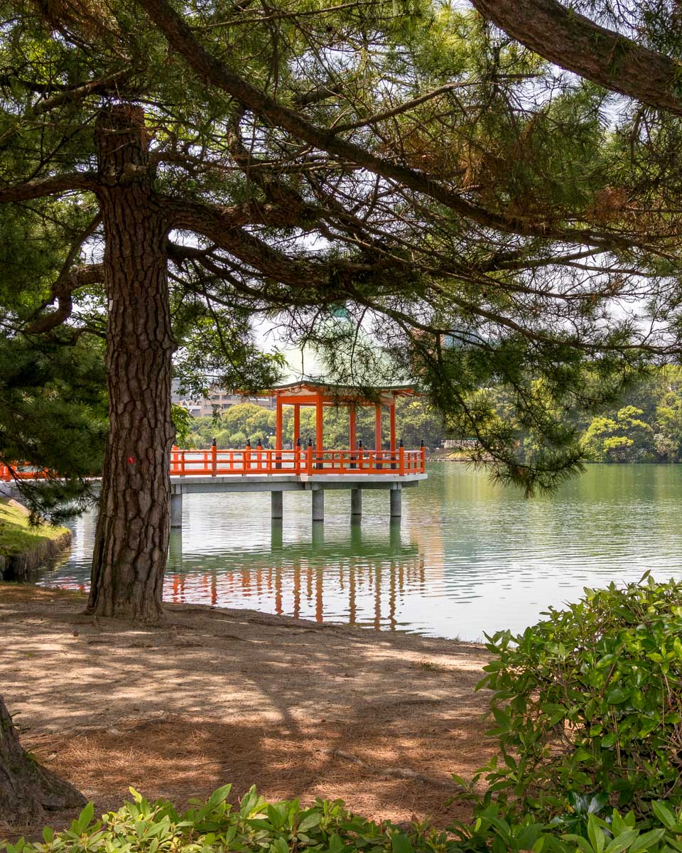 View of Ohori Park on a bike tour in Fukuoka Japan