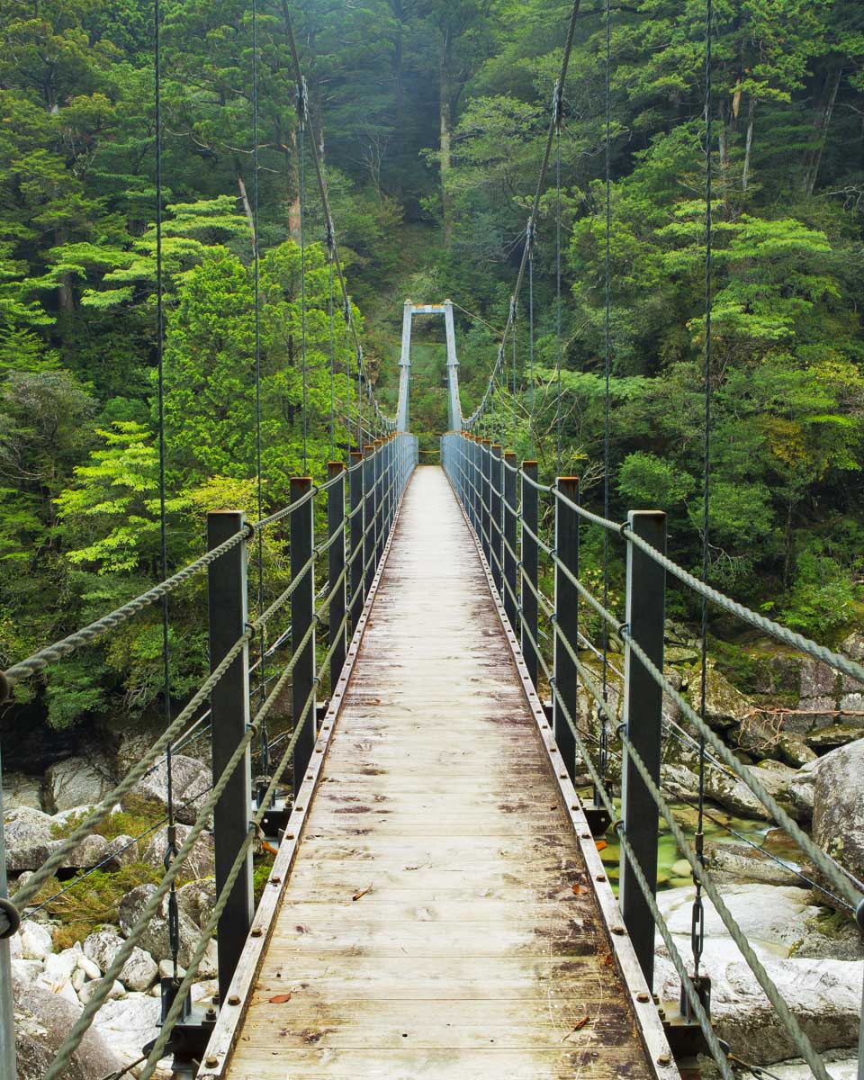 Yakushima Island seen near Kagoshima & Yakushima in Japan