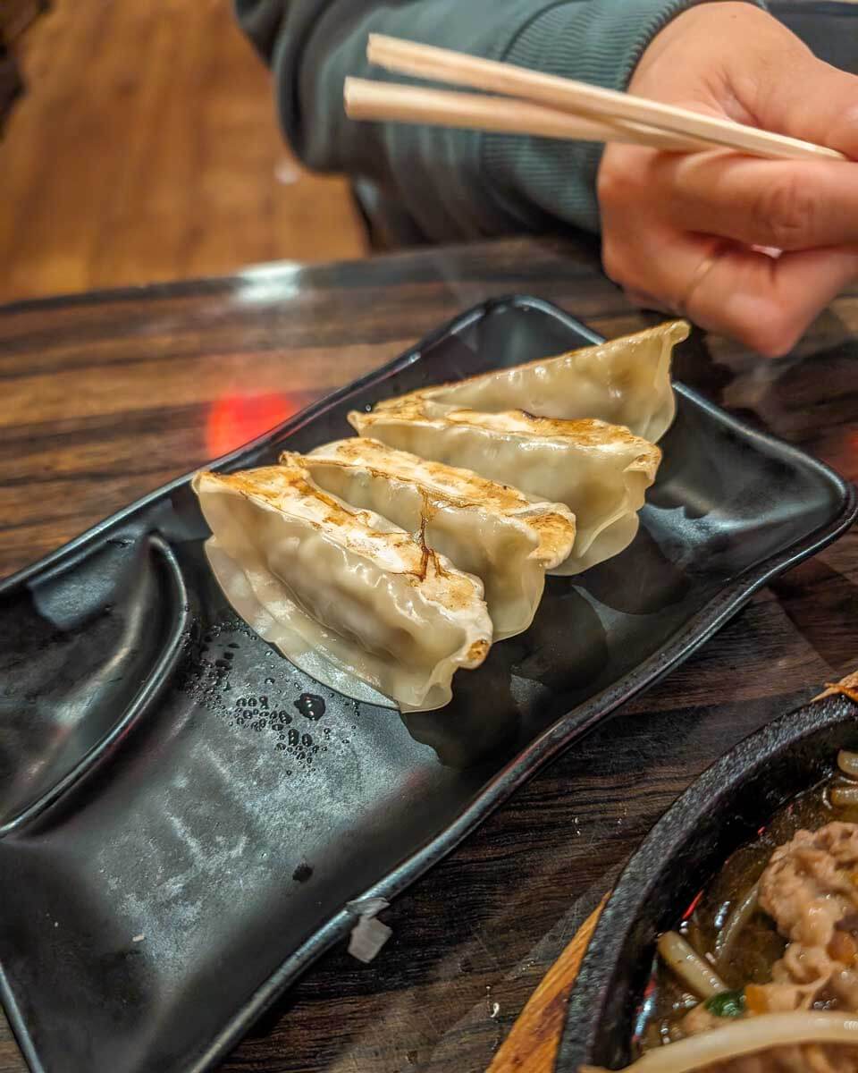 Gyoza eaten in Japan