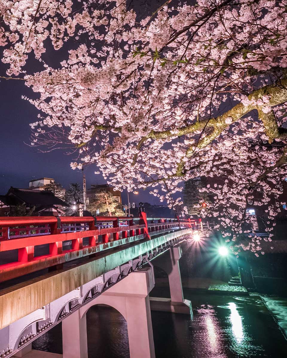 Landscape of Nakabashi bridge in the night on the cherry blossom