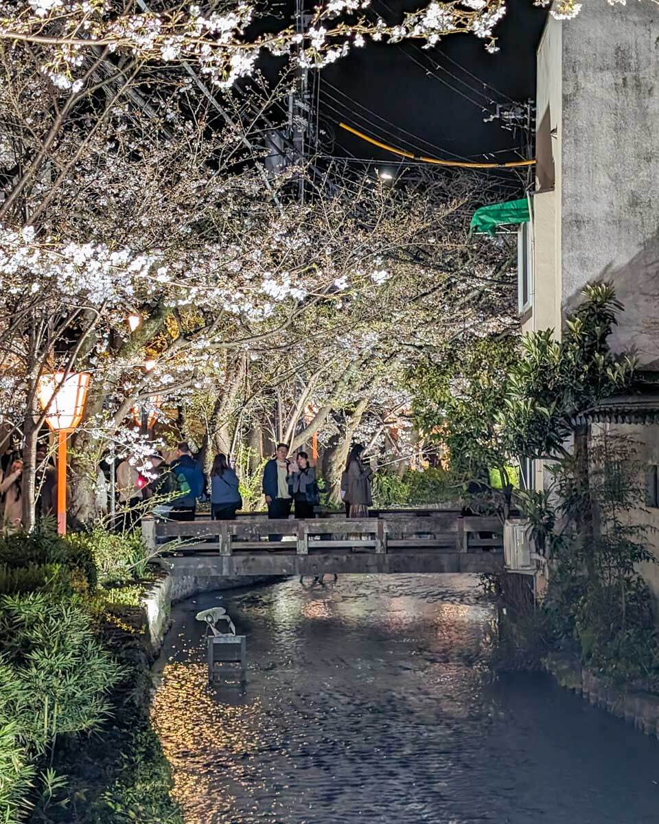 Takase River in Kyoto, Japan, at night Gion district (1)-2