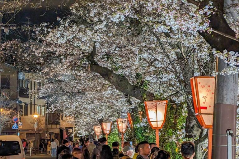 Takase River in Kyoto, Japan, at night Gion district (8)
