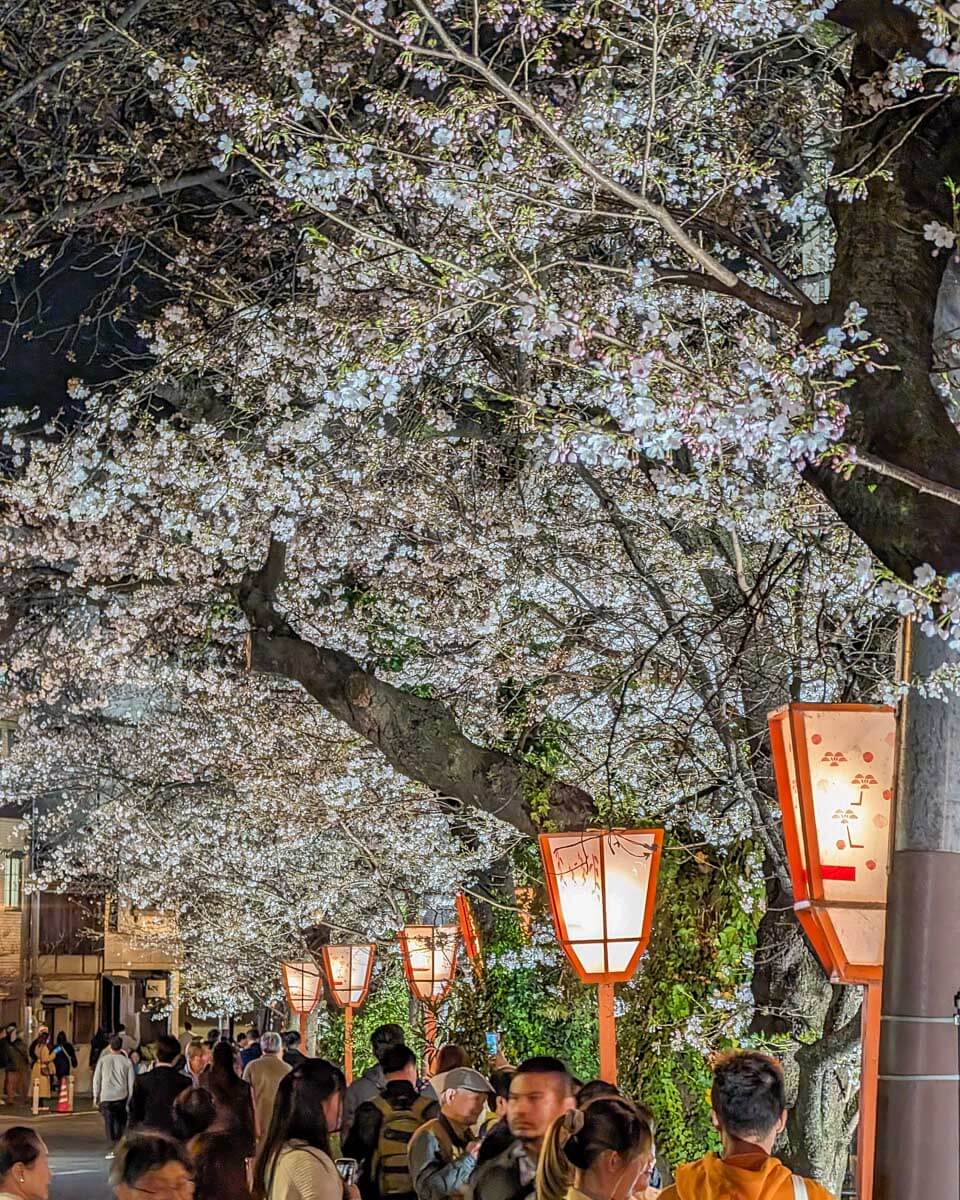 Takase River in Kyoto, Japan, at night Gion district (9)