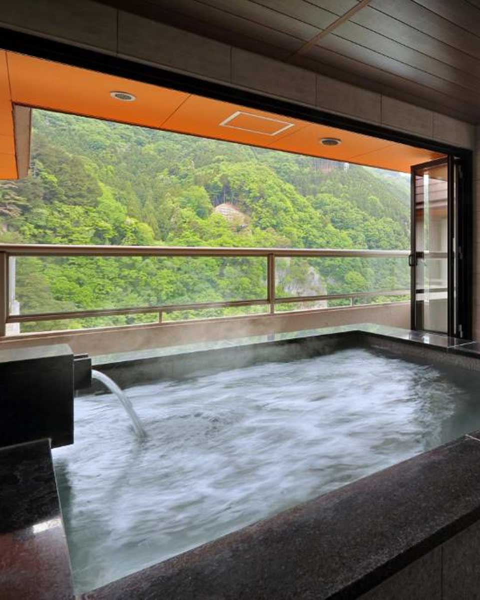 Hotel Sunshine Kinugawa in Nikko Japan 1